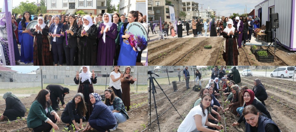 Barış Annesi Xemê Akdoğan'ın ismi Kadın Kent Bostanı'nda yaşatılacak 