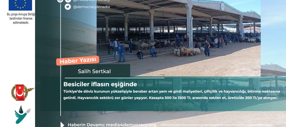 Besiciler iflasın eşiğinde ! Bölgenin tek geçim kaynağı yok oluyor 