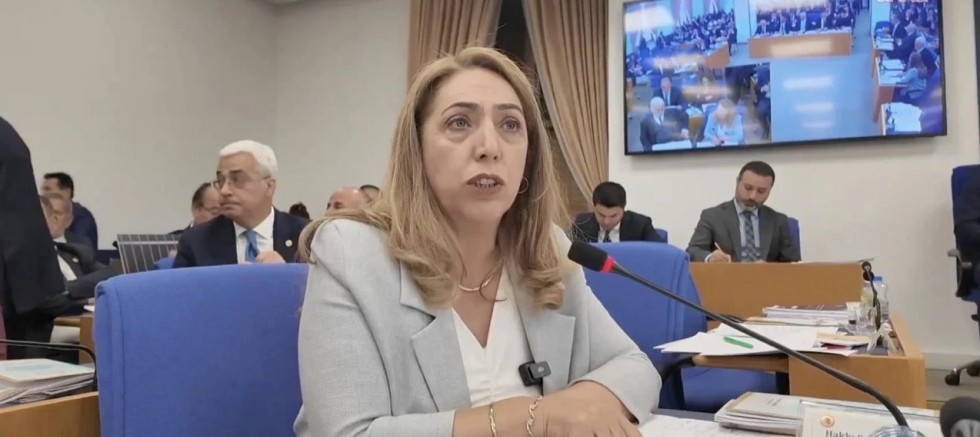 DEM Partili Salihe Aydeniz istifası duyuruldu