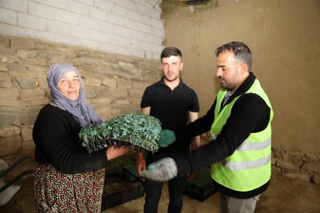 İpekyolu Belediyesi'nden 'Kendi sebzeni kendin yetiştir' desteği