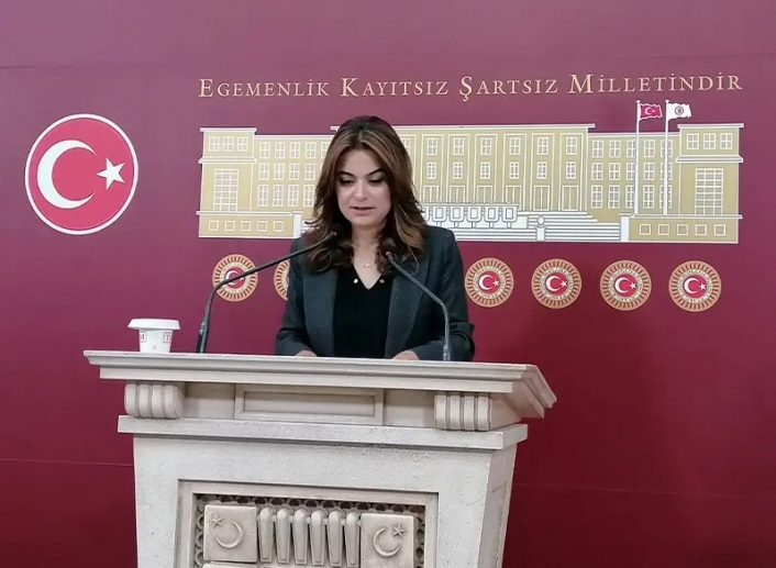 DEM Parti’den süreç için yeni mekanizma çağrısı