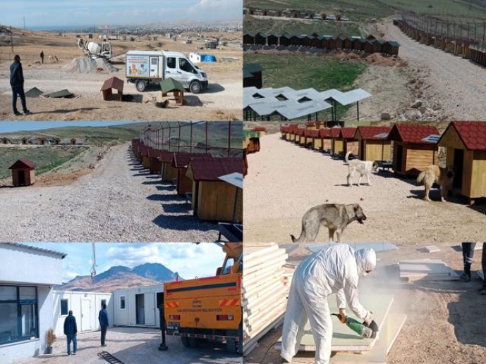 VASHAB’IN 2025 VE 2026’NIN İLK 3 AYINI KAPSAYAN FAALİYET RAPORU AÇIKLANDI