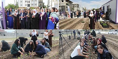 Barış Annesi Xemê Akdoğan'ın ismi Kadın Kent Bostanı'nda yaşatılacak 