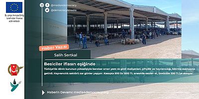 Besiciler iflasın eşiğinde ! Bölgenin tek geçim kaynağı yok oluyor 