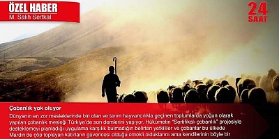 Çobanlar: Çöp toplayan katırların güvencesi var bizim yok !