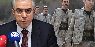 Cumhurbaşkanı Başdanışmanı Uçum'dan PKK'nın çekilme kararına ilk yorum