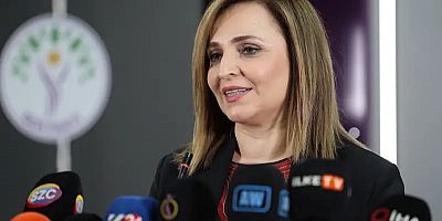 DEM Parti’den dikkat çeken çerçeve yasa açıklaması !