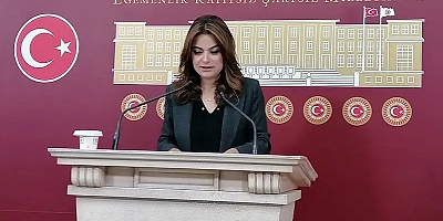 DEM Parti’den süreç için yeni mekanizma çağrısı