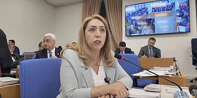 DEM Partili Salihe Aydeniz istifası duyuruldu