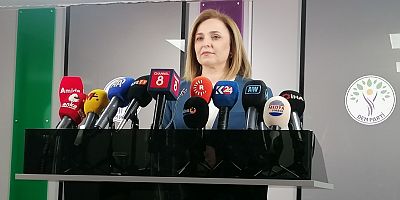 Doğan: Gözaltılar süreci provoke ediyor