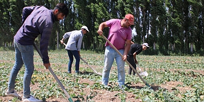 Erciş’te tarım alarm veriyor: Çiftçiler maliyet ve kuraklık çıkmazında