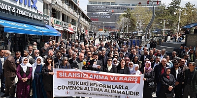 İHD Van Şubesi’den süreç ve silahsızlanma açıklaması !
