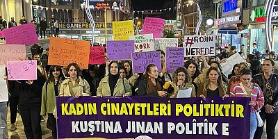 Kadın kırımına karşı Vanlı kadınlar alanlarda !