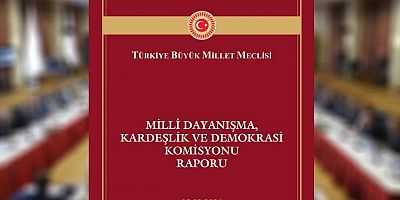 Komisyon raporu yayımlandı: İşte öne çıkan başlıklar