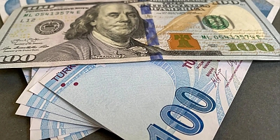 Merkez Bankası yıl sonu dolar tahminini açıkladı