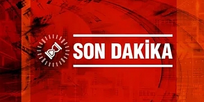 Narin Güran cinayeti kapsamında onlarca kişi yeniden gözaltına alındı 