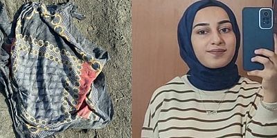 Rojin Kabaiş dosyasında önemli gelişme ! DNA’ların bulaş olmadığı kesinleşti