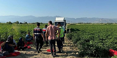Tarlada uyuyakalan mevsimlik işçi çocuğu ezen kamyon şoförü öldürüldü 