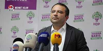 Tayip Temel'den iktidara süreç eleştirisi: İktidarın çekingenliği çözüm karşıtlarını cesaretlendiriyor
