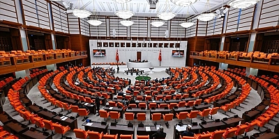 TBMM tutanaklarına Kürtçeyi önce yazdılar sonra sildirdiler