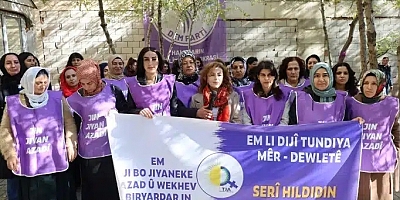 Van'da 25 Kasım Kadına Yönelik Şiddetle Mücadele etkinlik programı belli oldu 