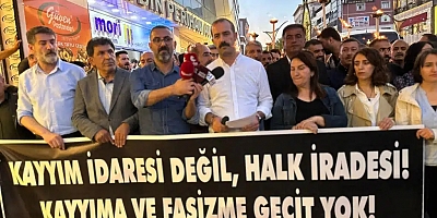 Van'da 49 kurumdan Hakkari kayyum açıklaması 