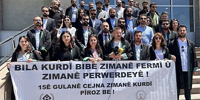 Van'da avukatlardan 'Ana dilde eğitim ve Kürtçe resmi dil olsun' talebi 