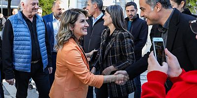 Van'da Demirtaş programı düzenlendi !
