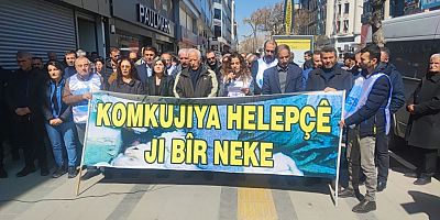 Van'da Halepçe Katliamı kınandı !