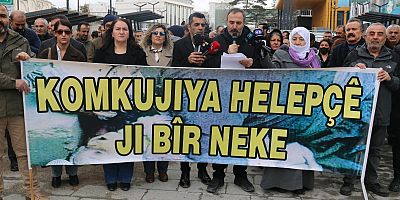 Van’da Halepçe Katliamı protesto açıklaması