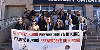 Van'da hukuk kurumlarından Kürtçeye resmi statü talebi