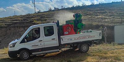 Van'da iki ilçede bit, pire istilası ! 