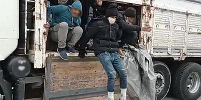 Van'da kayıtlı yasal göçmen sayısı açıklandı !