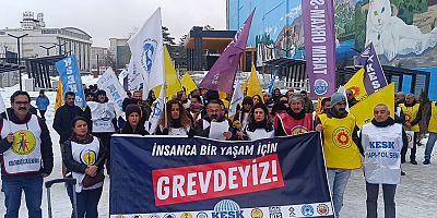 Van’da KESK’ten iş bırakma eylemi ve basın açıklaması 