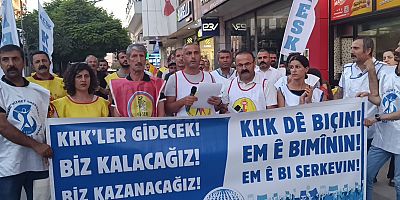 Van'da KHK Platformu basın açıklaması düzenledi 