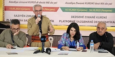 Van’da Kürtçe Çaıştayı: Kürtçeye statü tanınmadığı sürece ne barış gelir ne de huzur'
