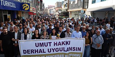 Van'da ‘Umut hakkı’ eylemi: AİHM kararlarına uymaya çağırıyoruz