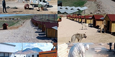 VASHAB’IN 2025 VE 2026’NIN İLK 3 AYINI KAPSAYAN FAALİYET RAPORU AÇIKLANDI