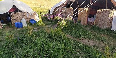 Yaylacılık kültürü bitiyor ! Toplum üretimden kopuyor 