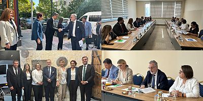 Yerine kayyum atanan Eşbaşkan Zeydan'dan Avrupa heyetine eleştiri