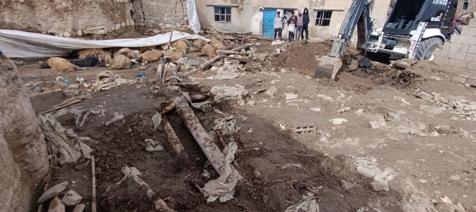 Van’da deprem sonrası ahırlar çöktü: Onlarca hayvan öldü
